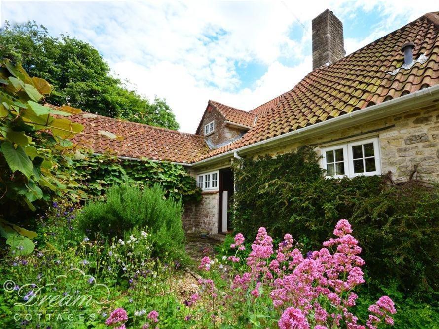 Sixpenny Cottage, UPWEY, WEYMOUTH Exteriör bild